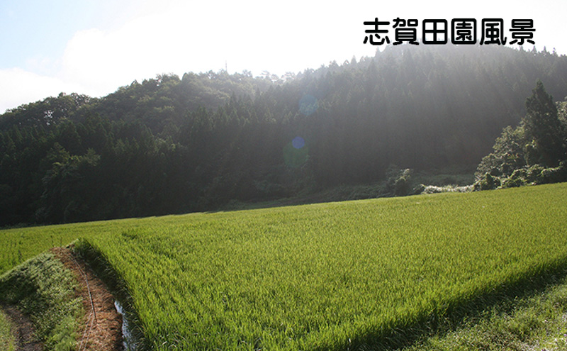 宮城県岩沼市産 志賀沢米 金のいぶき　玄米10kg（5kg×2）