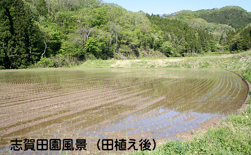 ひとめぼれ　精米10kg（5kg×2）