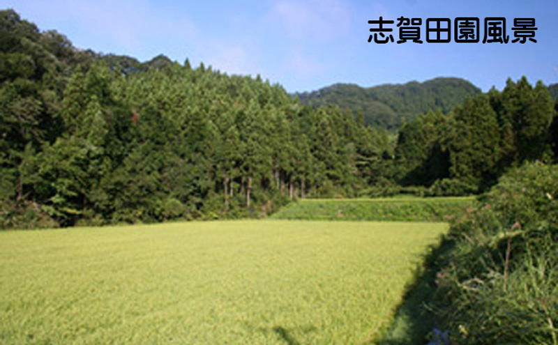 宮城県岩沼市産 志賀沢米 ササシグレ 精米2kg