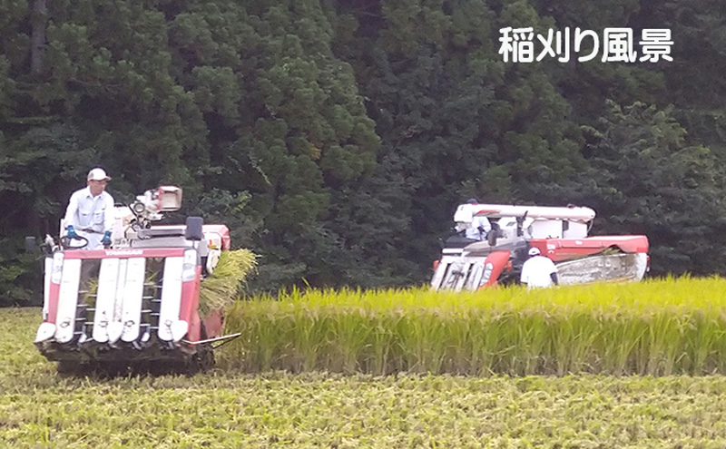 食べ比べ！【6ヶ月定期便】宮城県岩沼市産のお米 10kg サブスク　