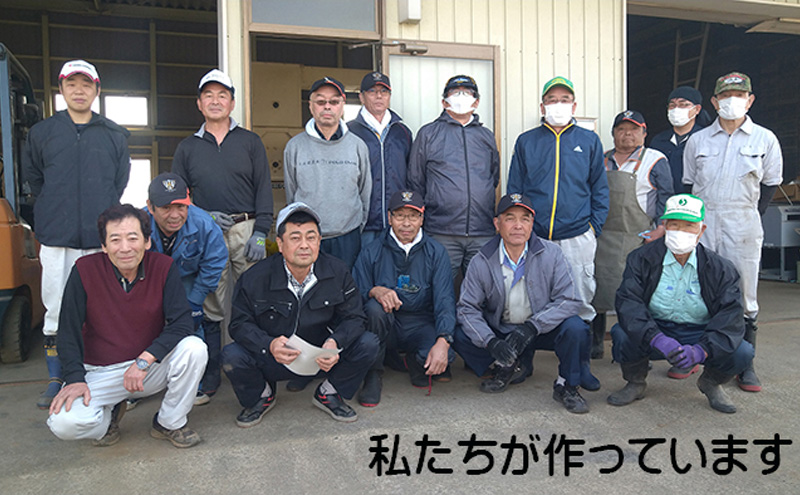 食べ比べ！【12ヶ月定期便】宮城県岩沼市産のお米 10kg サブスク　