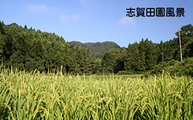 食べ比べ！【6ヶ月定期便】宮城県岩沼市産 志賀沢米 2kg サブスク