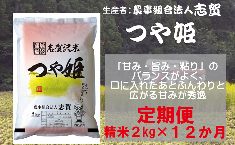 【12ヶ月定期便】宮城県岩沼市産 志賀沢米 つや姫 精米2kg