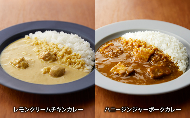 ニシキヤキッチン　人気のカレー6食セット