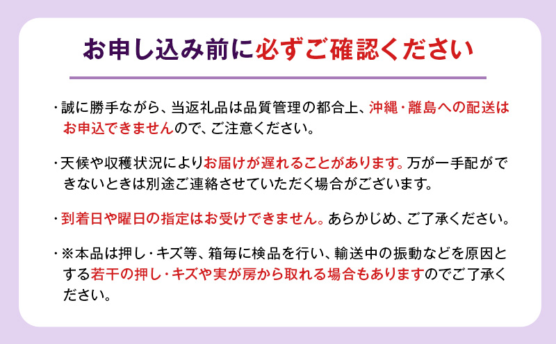 【8月中旬より発送】ぶどう BKシードレス 約1kg 2房 巨峰 マスカットベリーA 糖度20度以上 岩沼市産