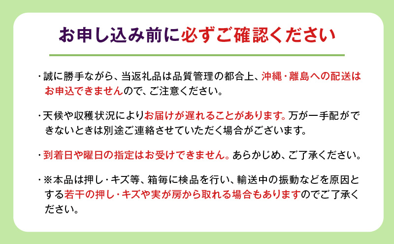 【8月中旬より発送】ぶどう シャインマスカット 約1kg 2房 大粒サイズ 岩沼市産