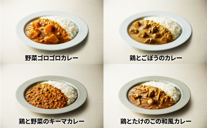 ニシキヤキッチン からだ想いカレースープ7食セット