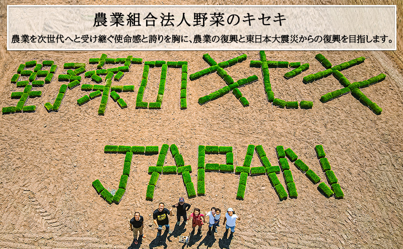 定期便 3回 (3か月間定期便) 令和6年度 宮城県産 ひとめぼれ 5kg お米 こめ コメ