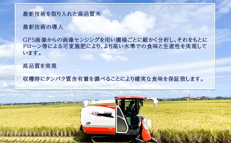 定期便 6回 (6か月間定期便) 令和6年度 宮城県産 ひとめぼれ 5kg お米 こめ コメ