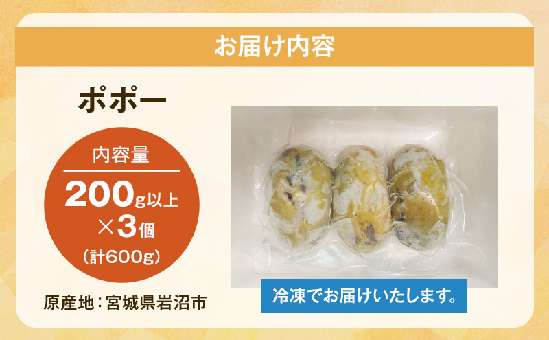 ポポーの実 200g×3個（計：約600g）