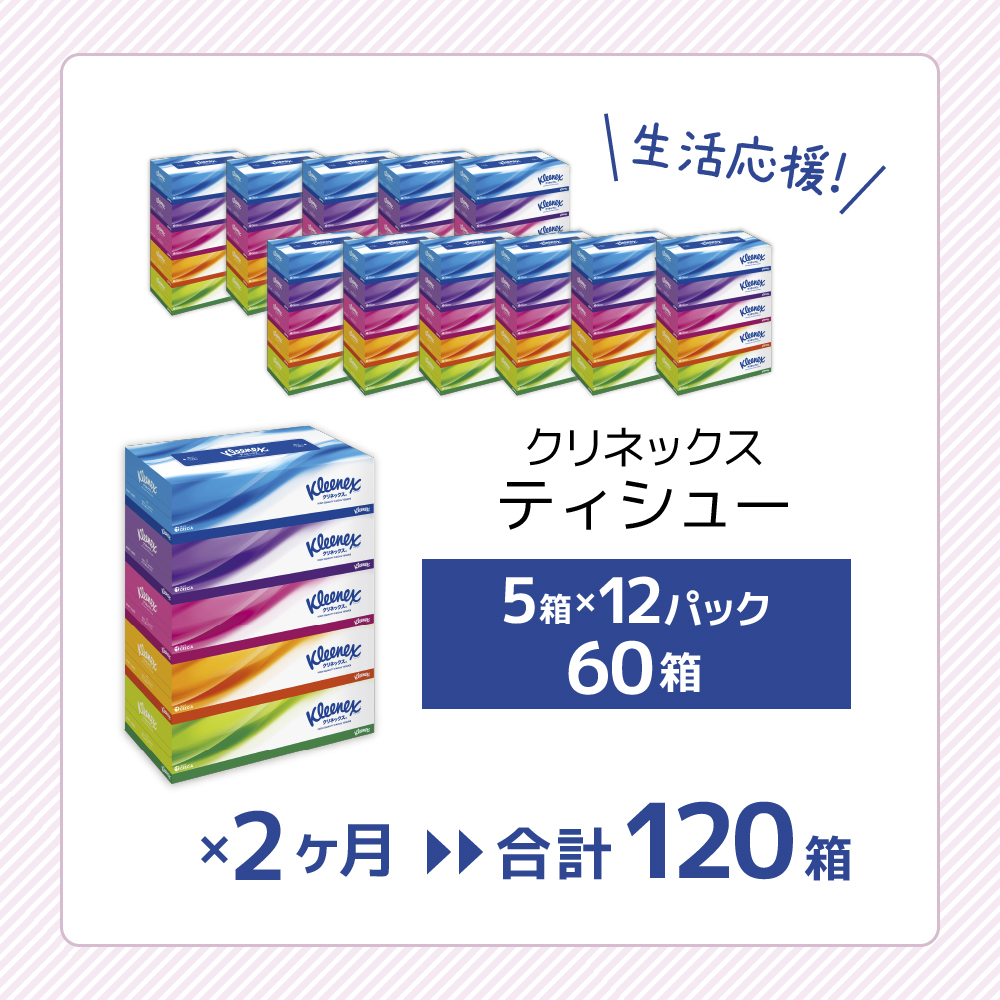 【2ヶ月連続定期便】ティッシュペーパー クリネックスティシュー 60箱 360枚（180組）5箱×12パック入り