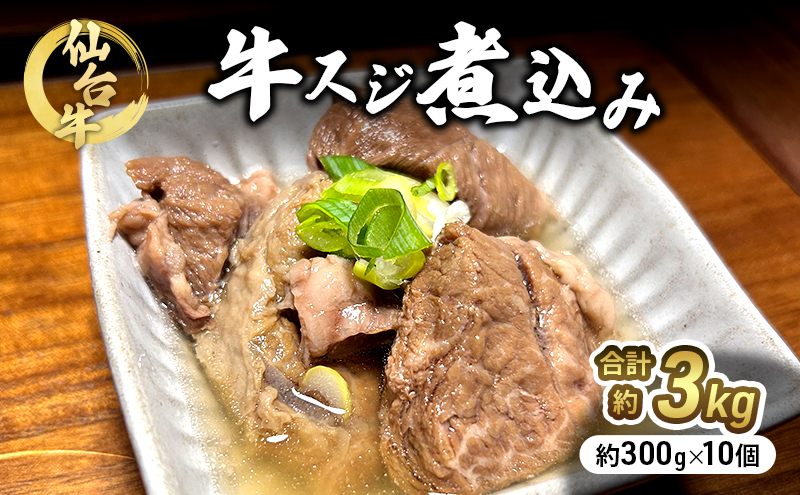 仙台牛 牛スジ煮込み 300g 10個セット 冷凍発送 牛肉