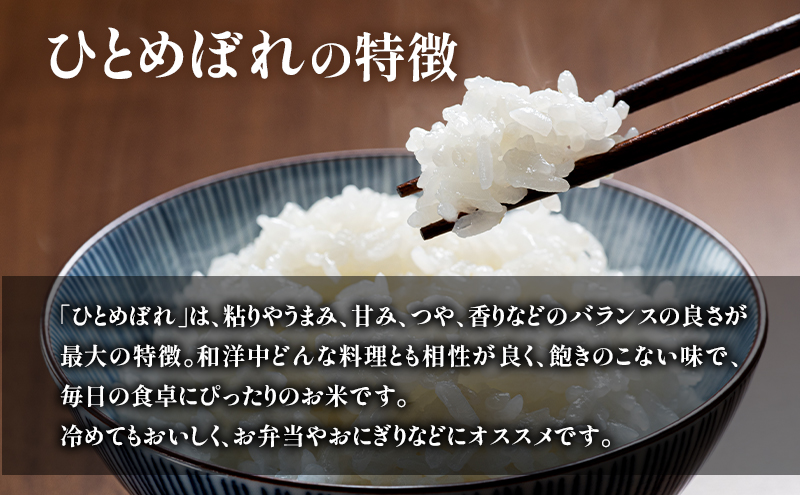 【宮城県岩沼市産】ひとめぼれ玄米 20kg(10kg×2袋) お米 こめ コメ