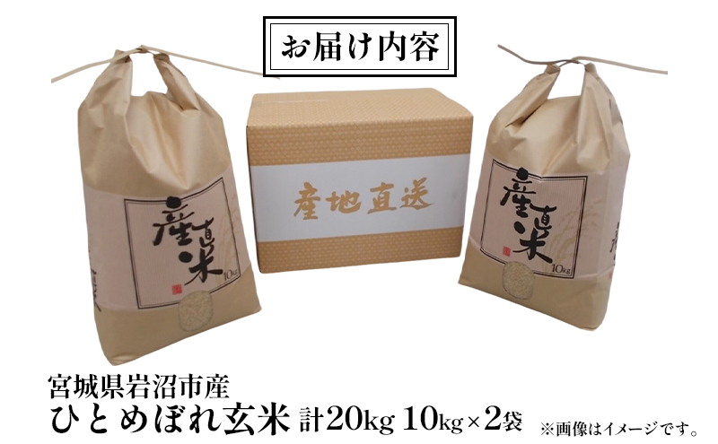 【宮城県岩沼市産】ひとめぼれ玄米 20kg(10kg×2袋) お米 こめ コメ