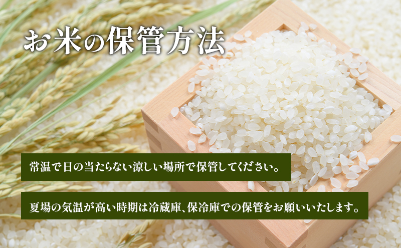 【宮城県岩沼市産】ひとめぼれ玄米 10kg お米 こめ コメ