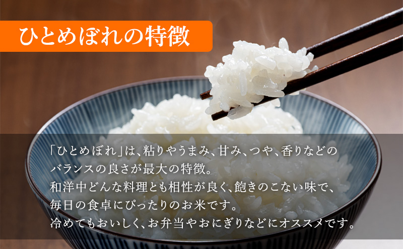 令和6年度産 ひとめぼれ玄米2kg 宮城県 岩沼市 玄米 お米 米 ごはん ご飯 単一原料米