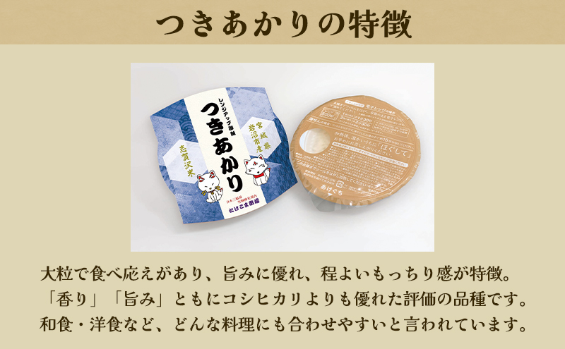 レトルト つきあかり 志賀沢米レンジアップごはん24個セット 常温 常温保存 レトルト食品 パックご飯 パックごはん ごはん ご飯