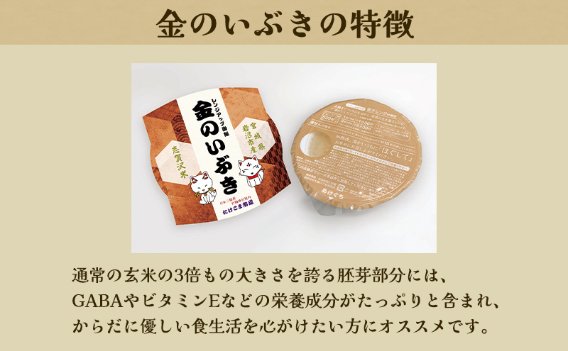 レトルト 金のいぶき 志賀沢米レンジアップごはん12個セット 常温 常温保存 レトルト食品 パックご飯 パックごはん ごはん ご飯