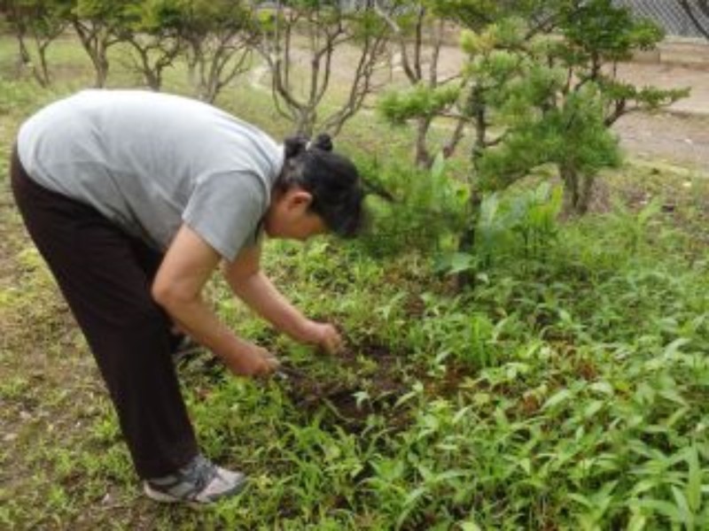 【岩沼市】空き家管理サービスB（見回り・簡易作業（ゴミ拾い、除草作業）・報告）約5時間