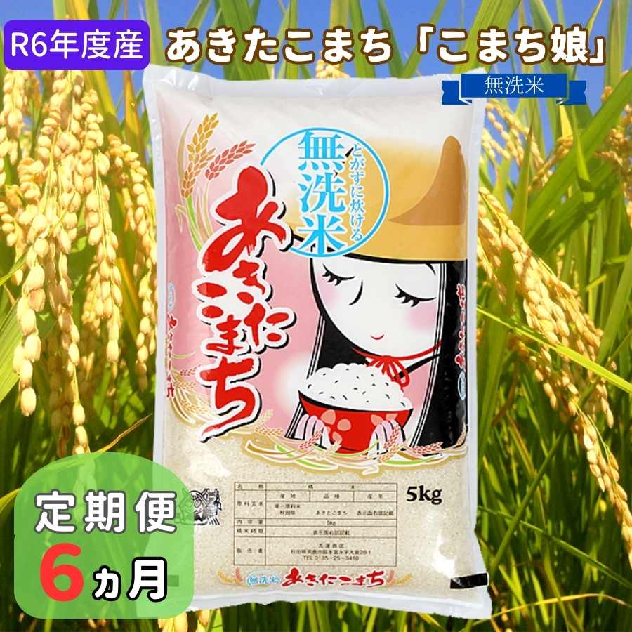 定期便 R6年度産  『こまち娘』あきたこまち 無洗米  5kg×1袋6ヶ月連続発送（合計30kg）吉運商店 秋田県 男鹿市