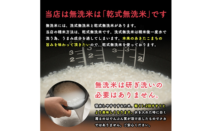 無洗米 令和4年産 あきたこまち 5kg×2袋（合計:10kg）秋田県 男鹿市 【こまちライン】