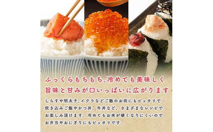 令和4年産 秋田県産 あきたこまち標準精米 18.5キロ 特別価格 その他