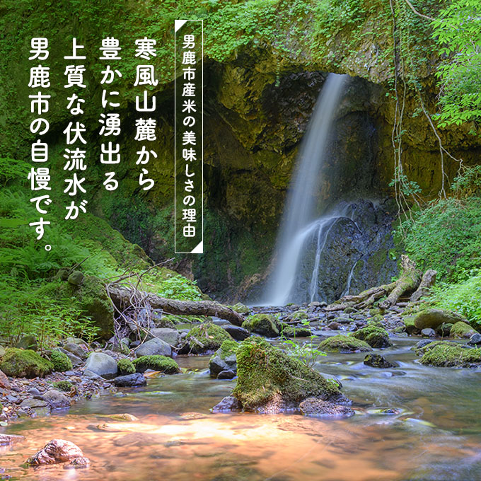 定期便 令和4年産『米屋のこだわり米』あきたこまち 白米 5kg×2袋 7ヶ月連続発送（合計 70kg）＜秋田県男鹿市＞