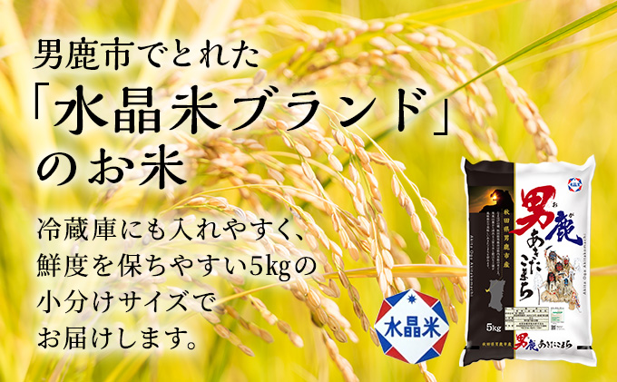 定期便 秋田県男鹿市 令和4年産 あきたこまち 精米10kg（5kg×2袋）5ヶ月連続発送（合計 50kg）秋田県 男鹿市 秋田食糧卸販売