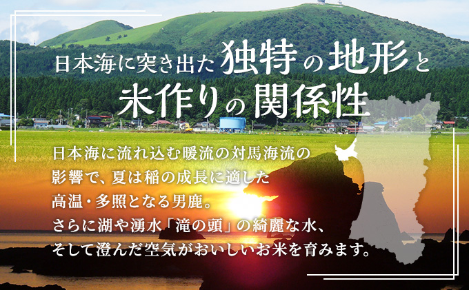 1月発送 定期便 令和4年産 あきたこまち 精米 10kg（5kg×2袋）6ヶ月連続発送（合計 60kg）秋田県 男鹿市 2023年1月中旬頃から発送開始＜秋田食糧販売＞