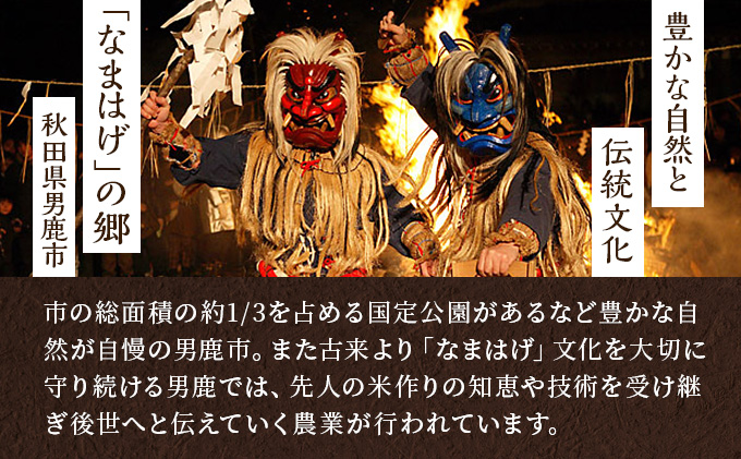 2月発送 定期便 令和4年産 あきたこまち 精米 10kg（5kg×2袋）6ヶ月連続発送（合計 60kg）秋田県 男鹿市 2023年2月中旬頃から発送開始＜秋田食糧販売＞