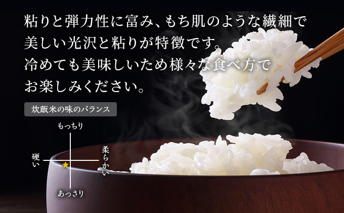 1月発送 定期便 令和4年産 あきたこまち 無洗米 10kg（5kg×2袋）3ヶ月連続発送（合計 30kg）秋田県 男鹿市 2023年1月中旬頃から発送開始＜秋田食糧販売＞