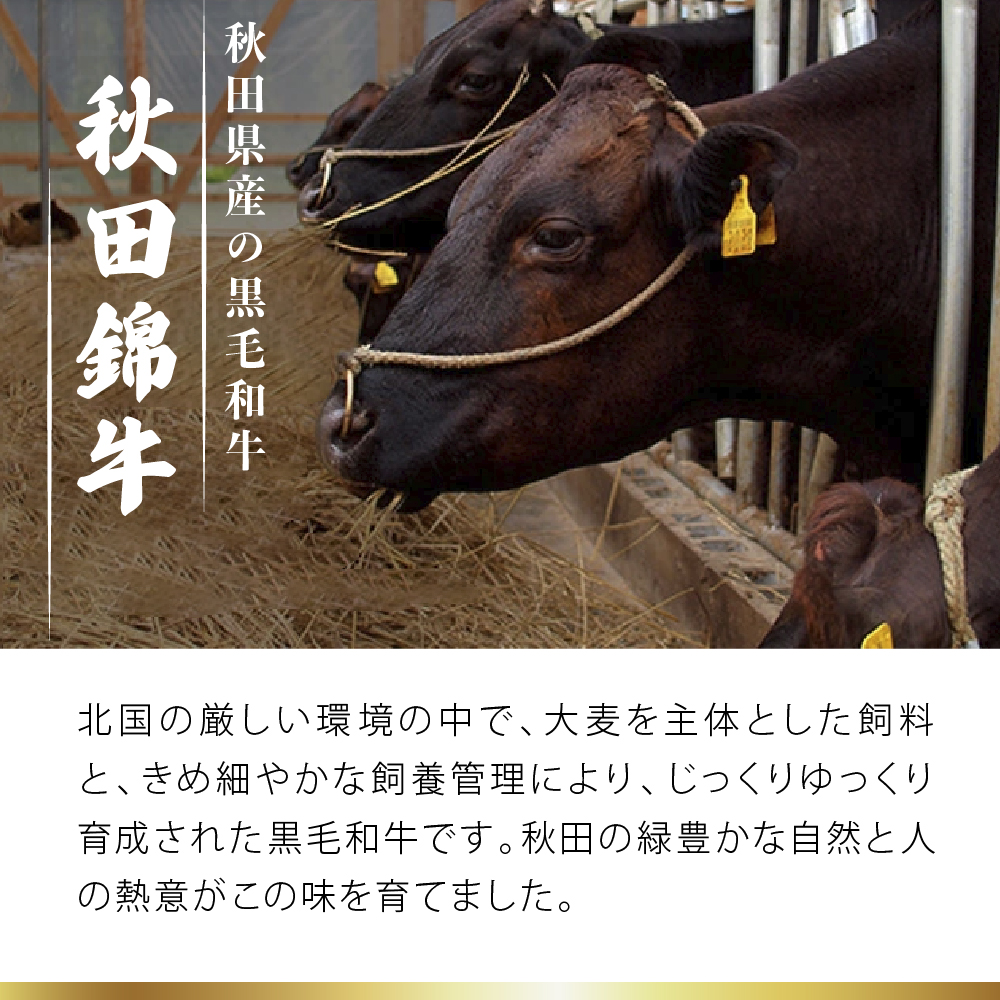 秋田産黒毛和牛「秋田錦牛」特上カルビ 約600g＋自家製焼肉のたれ2本セット【男鹿市 福島肉店】