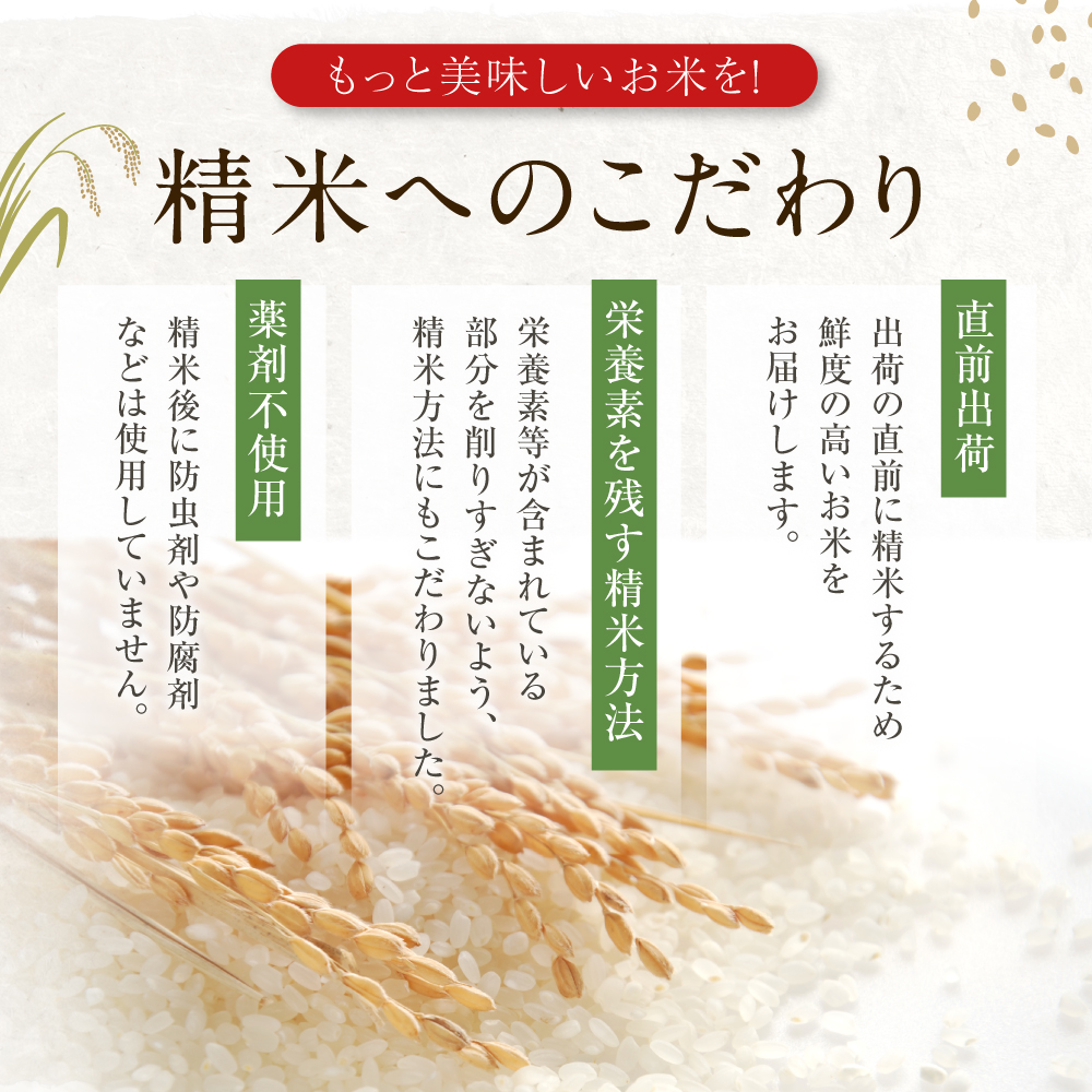 定期便 令和5年産 あきたこまち 精米 10kg（5kg×2袋）3ヶ月連続発送（合計 30kg）秋田県 男鹿市