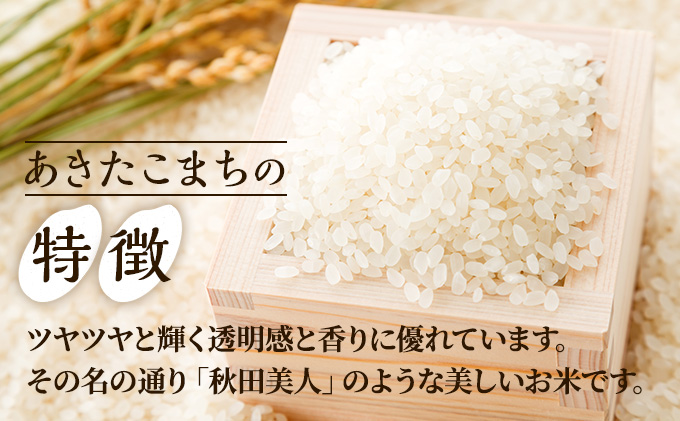 定期便 無洗米 令和5年産 あきたこまち 20kg 5kg×4袋 3ヶ月連続発送（合計 60kg） 秋田食糧卸販売