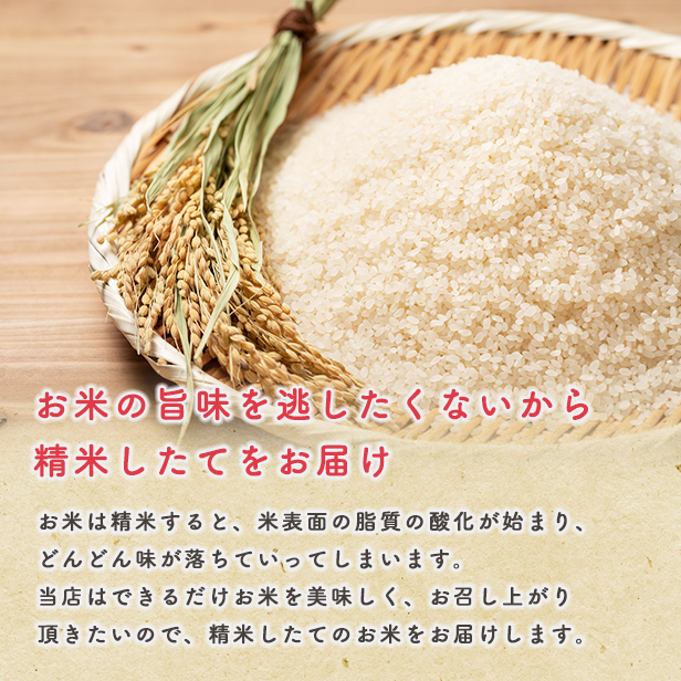 【新米予約】令和6年産秋田県産あきたこまち20kg(5kg×4袋)(三分づき) 9月下旬順次発送