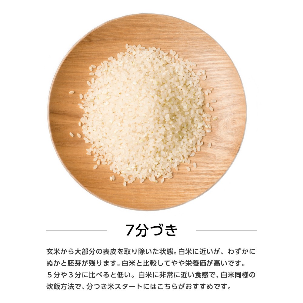 【新米予約】令和6年産秋田県産あきたこまち10kg(5kg×2袋)(七分づき) 9月下旬順次発送