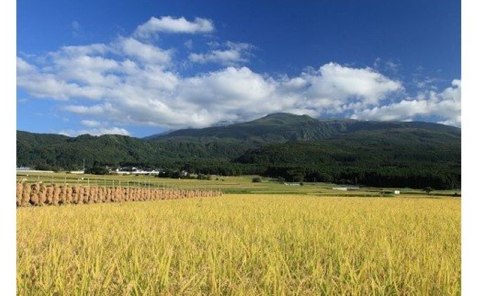 《謝恩企画》《数量限定》令和3年産  特別栽培米 コシヒカリ10kg(5kg×2袋・精米)