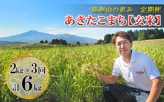 新米 米 お米 《定期便》2kg×3ヶ月 鳥海山の恵み！秋田県産 あきたこまち ひの米（玄米）計6kg（2kg×3回連続）