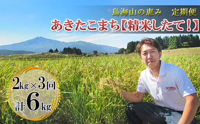 新米 米 お米 《定期便》2kg×3ヶ月 鳥海山の恵み！秋田県産 あきたこまち ひの米（精米）計6kg（2kg×3回連続）