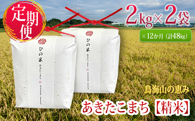 新米 米 お米 《定期便》4kg×12ヶ月 秋田県産 あきたこまち 精米 2kg×2袋 神宿る里の米「ひの米」（お米 小分け 1年）