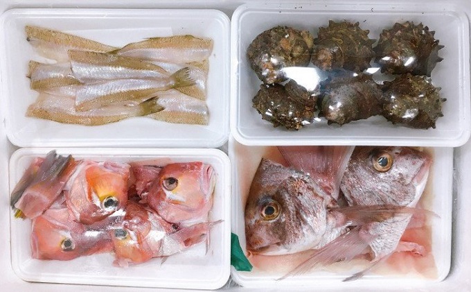 開けたらすぐ食べられる日本海の鮮魚定期便（2～3人前・年4回）(魚介 下処理済み 詰合せ 詰め合わせ セット)