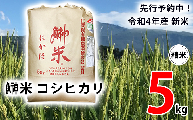 大割引 先行予約 令和4年産 特Aランク ななつぼし 玄米 10kg 雪冷気 籾貯蔵 雪中米 5kg×2袋 米 お米 ご飯 ごはん 北海道  qdtek.vn