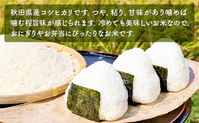 《令和4年産新米先行予約》コシヒカリ 白米 10kg（5kg×2袋）