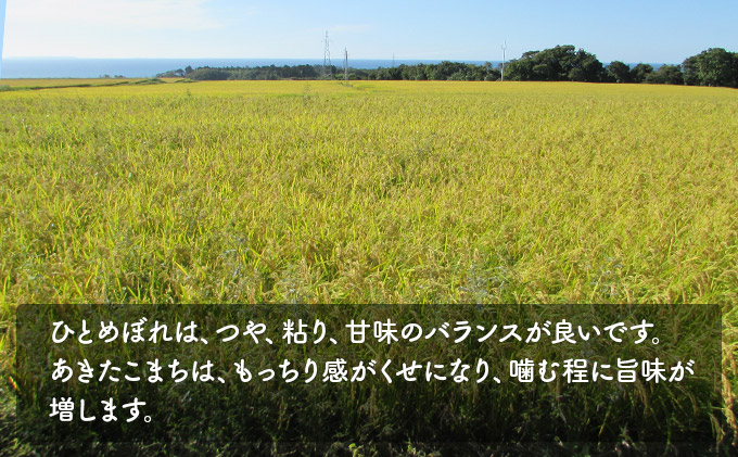 《令和4年産新米先行予約》食べ比べセット 白米 4kg（ひとめぼれ、あきたこまち 各2kg）