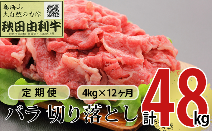 がございま 福袋 木城町 お肉いろいろお楽しみセットB：宮崎県木城町 セットにし - shineray.com.br