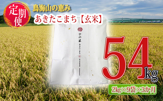 新米 米 お米 《定期便》18kg×3ヶ月 秋田県産 あきたこまち 玄米 2kg×9袋 神宿る里の米「ひの米」（お米 小分け）