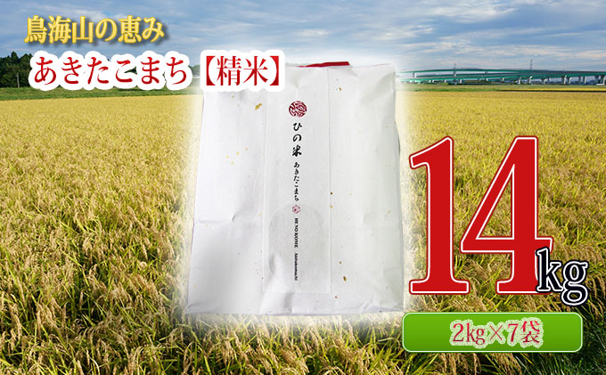 新米 米 お米 秋田県産 あきたこまち 精米 14kg（2kg×7袋）神宿る里の米「ひの米」（お米 小分け）