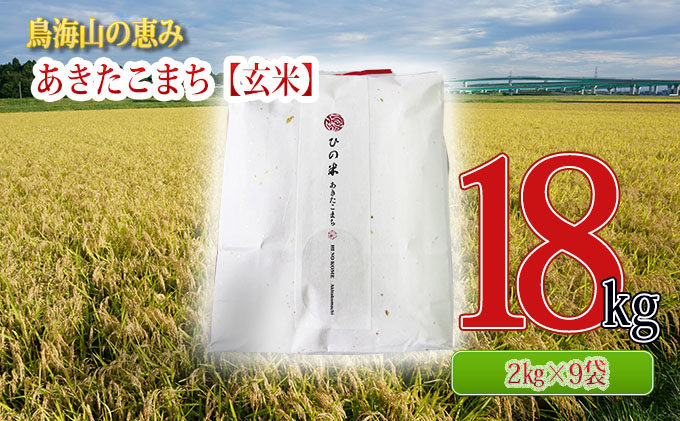 新米 米 お米 秋田県産 あきたこまち 玄米 18kg（2kg×9袋）神宿る里の米「ひの米」（お米 小分け）