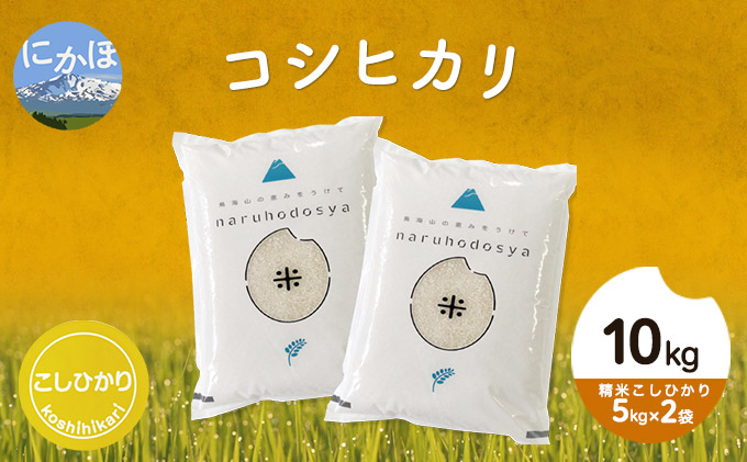 令和4年産 秋田県産コシヒカリ10kg(5kg×2袋 精米 こしひかり ）