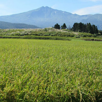 新米 米 お米 《定期便》2kg×3ヶ月 鳥海山の恵み！秋田県産 あきたこまち ひの米（精米）計6kg（2kg×3回連続）